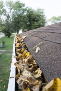 Dry Leaves In A Gutter