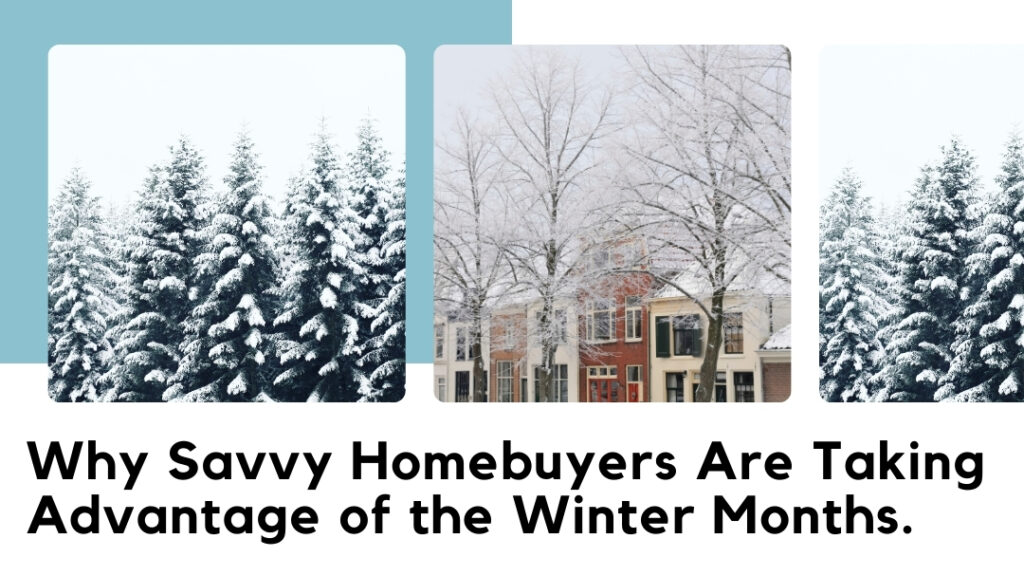 Snow-covered evergreen trees and a wintery neighborhood scene, showcasing why winter is a great time for homebuyers.